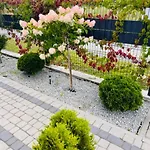 Apartamentowe Orlowka Apartment *