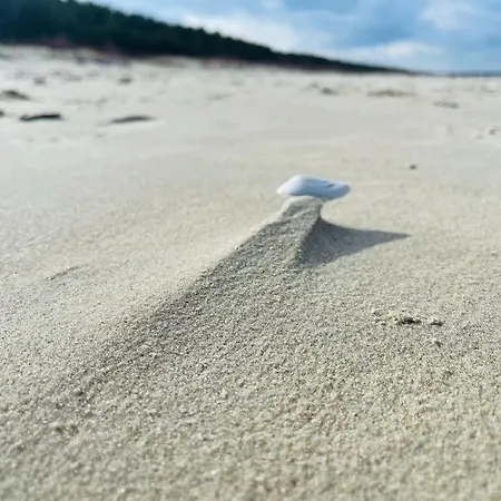 Apartamentowe Orlowka *