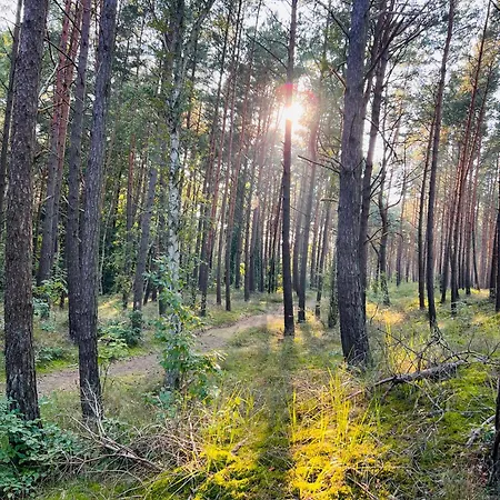 Apartamentowe Orlowka Jantar