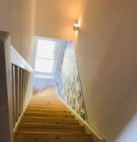 公寓 Apartamentowe Orlowka 詹塔尔