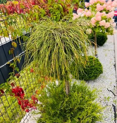 Apartamentowe Orlowka 詹塔尔