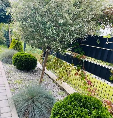 Apartamentowe Orlowka 公寓