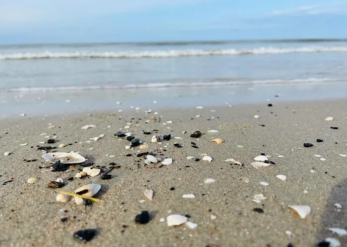 公寓 Apartamentowe Orlowka *