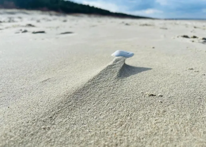 Apartamentowe Orlowka *