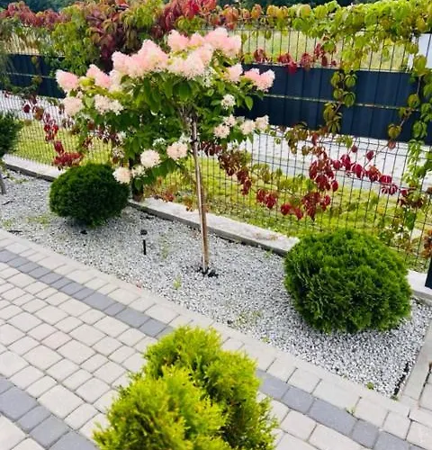 Apartamentowe Orlowka 公寓 *