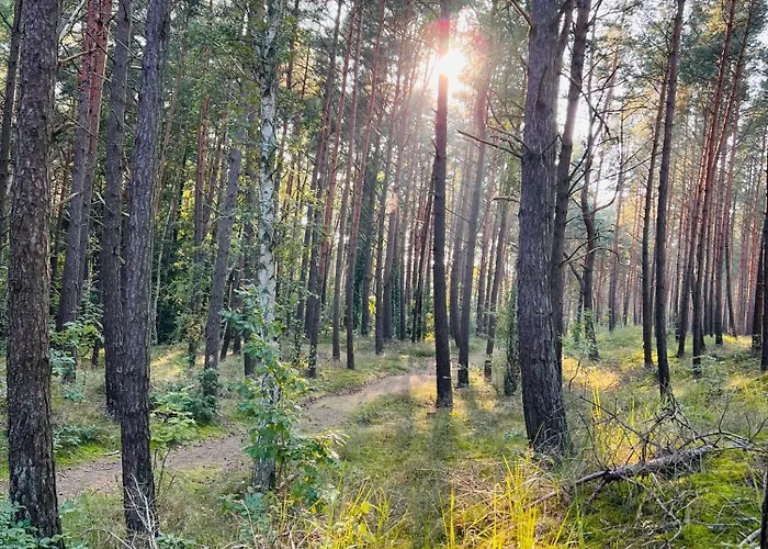 Apartamentowe Orlowka 詹塔尔