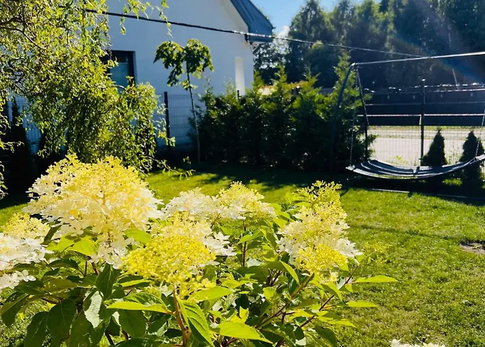 Apartamentowe Orlowka *